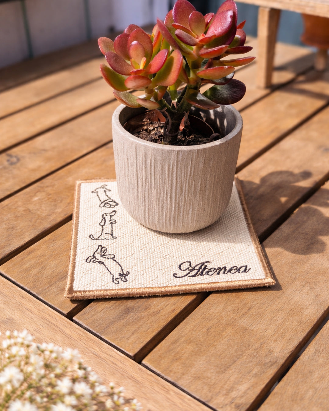Set de 4 posavasos Salchicha Pop. - Valkynea